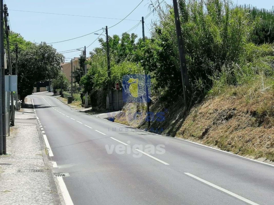 Terreno para Venda em Batalha Foto 8