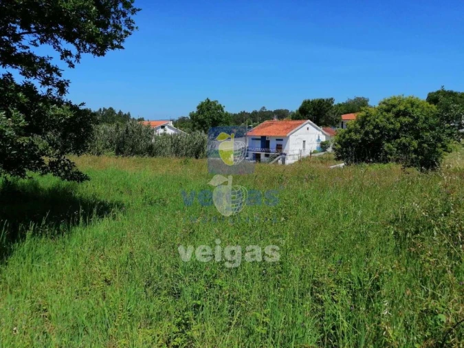 Terreno para Venda em Batalha Foto 5