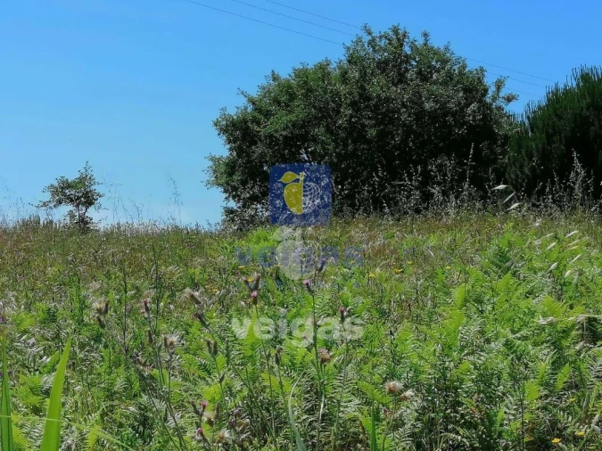 Terreno para Venda em Batalha Foto 7