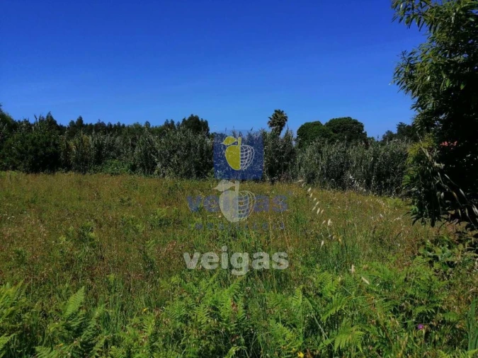 Terreno para Venda em Batalha Foto 6