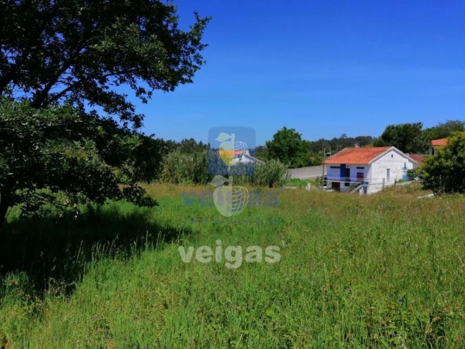 Terreno para Venda em Batalha Foto 3