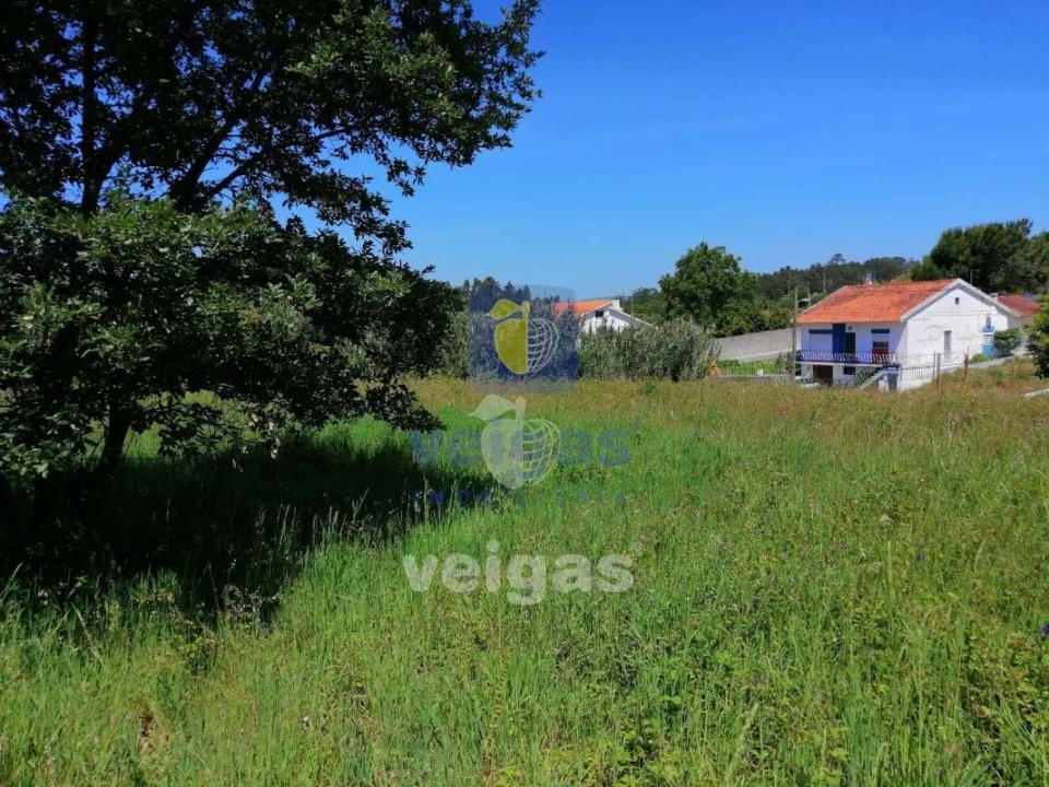 Terreno para Venda em Batalha Foto 4