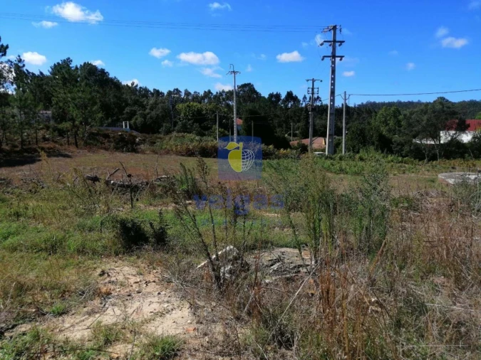 Terreno para Venda em Amor Foto 8