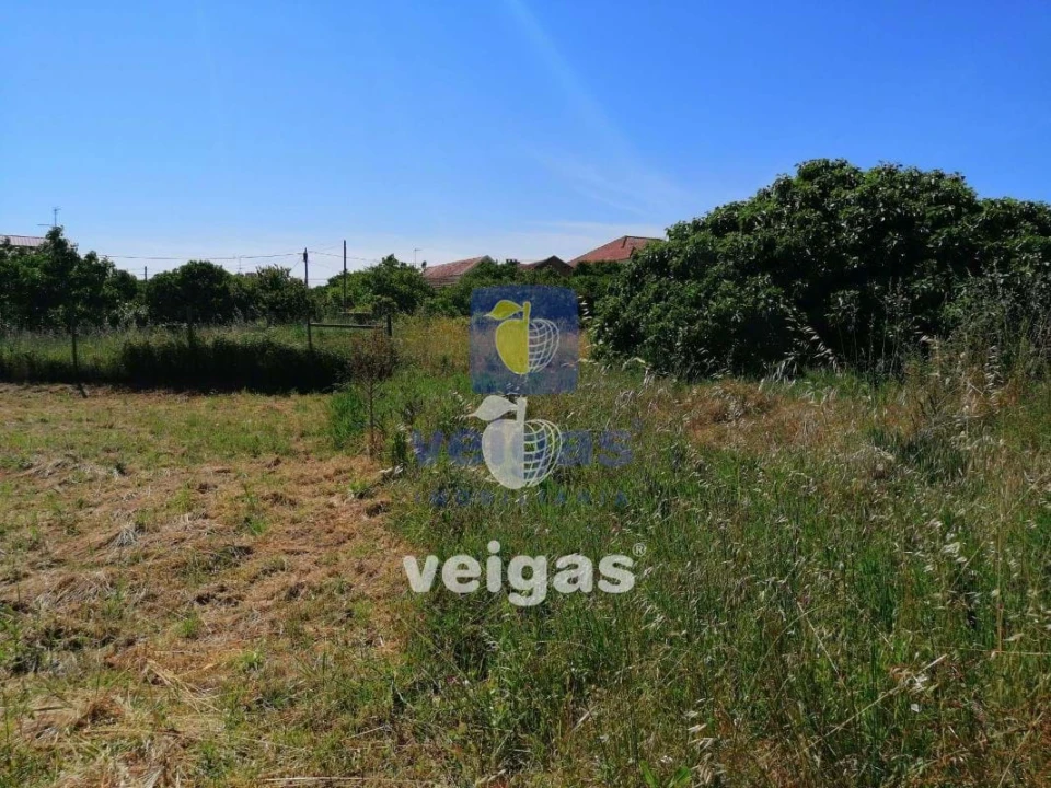 Terreno para Venda em Parceiros e Azoia Foto 1