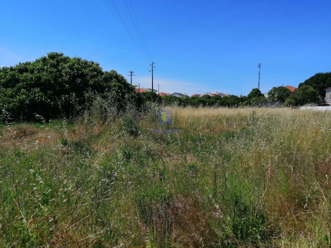 Terreno para Venda em Parceiros e Azoia Foto 17