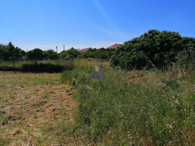 Terreno para Venda em Parceiros e Azoia Foto 16