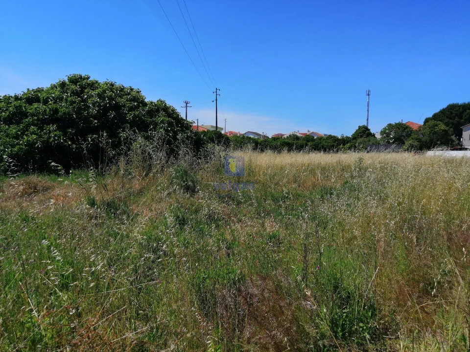 Terreno para Venda em Parceiros e Azoia Foto 17