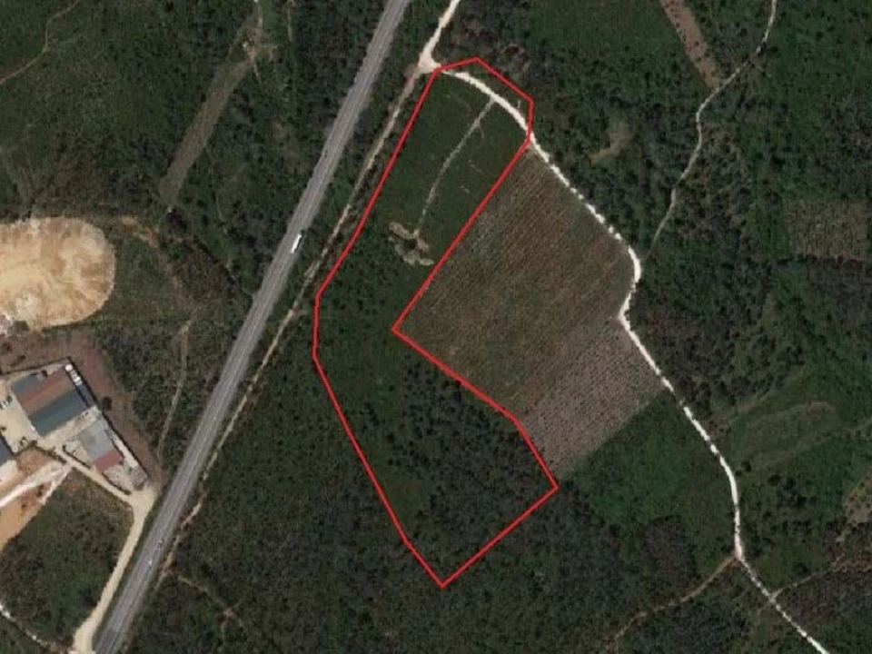 Terreno para Venda em Pedreiras Foto 34