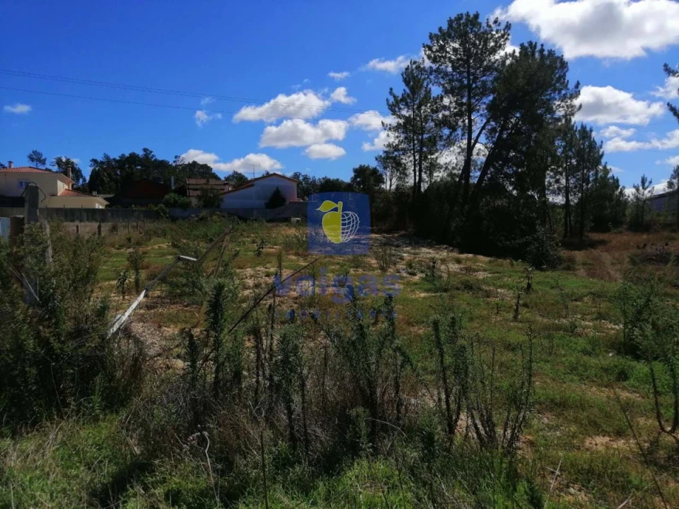 Terreno para Venda em Amor Foto 11