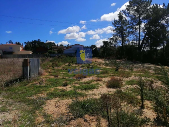Terreno para Venda em Amor Foto 7