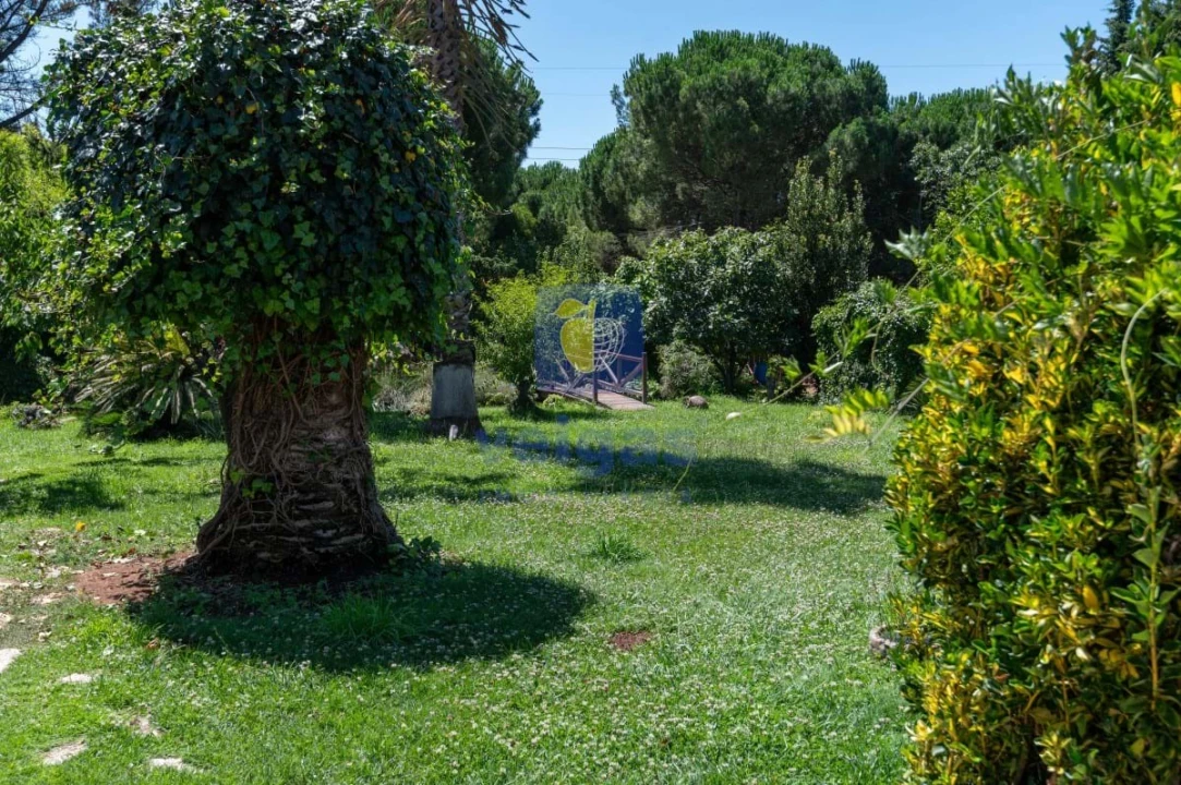 Moradia T3 para Venda em Turquel Foto 17