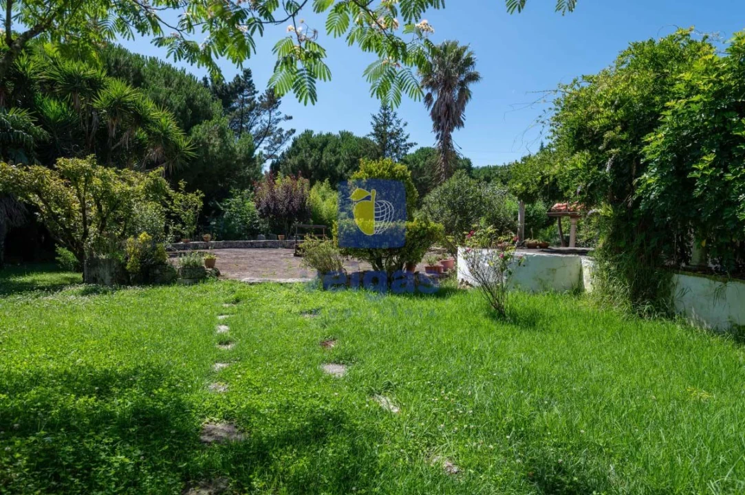 Moradia T3 para Venda em Turquel Foto 13