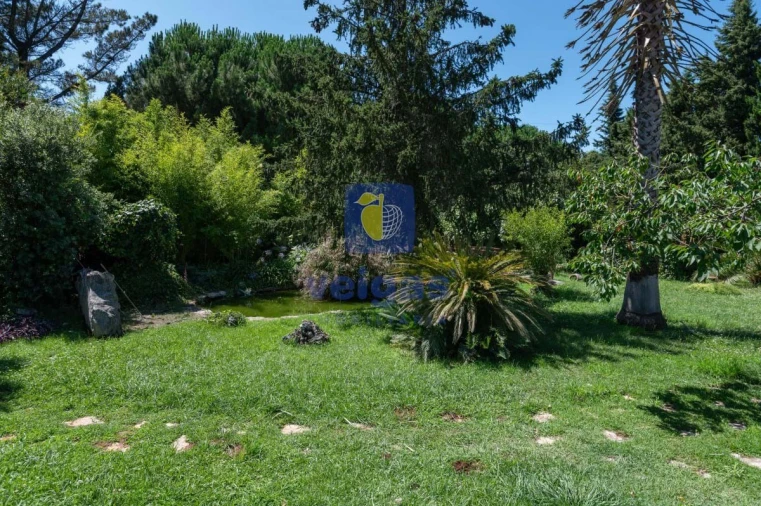 Moradia T3 para Venda em Turquel Foto 16