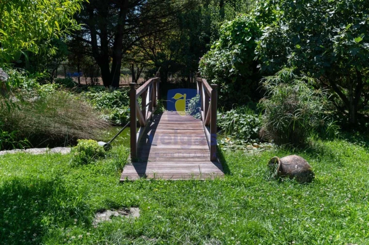 Moradia T3 para Venda em Turquel Foto 20