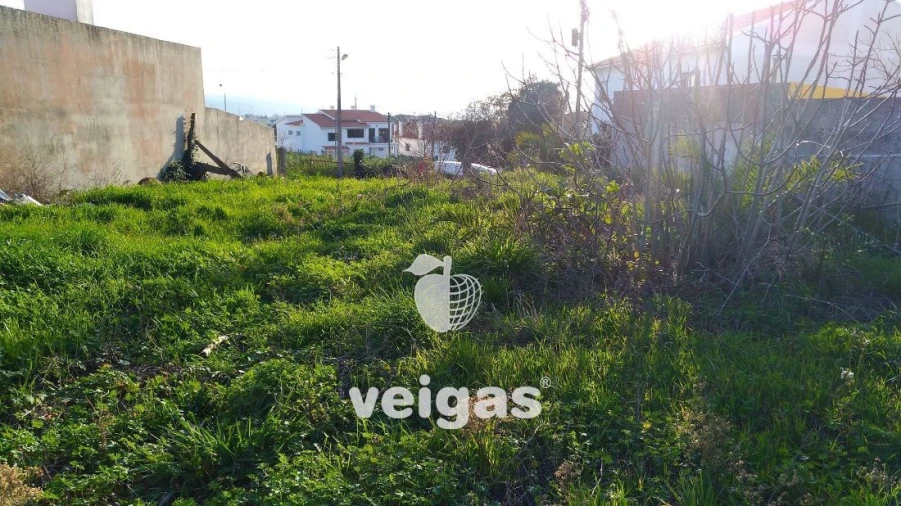 Terreno para Venda em Gaeiras Foto 6