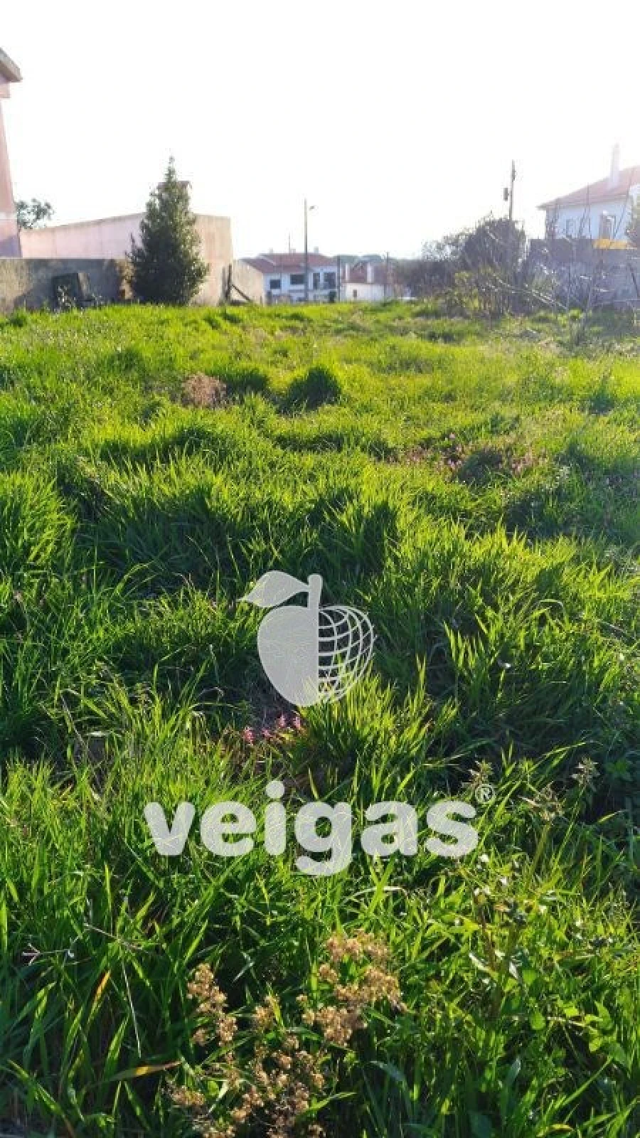Terreno para Venda em Gaeiras Foto 7