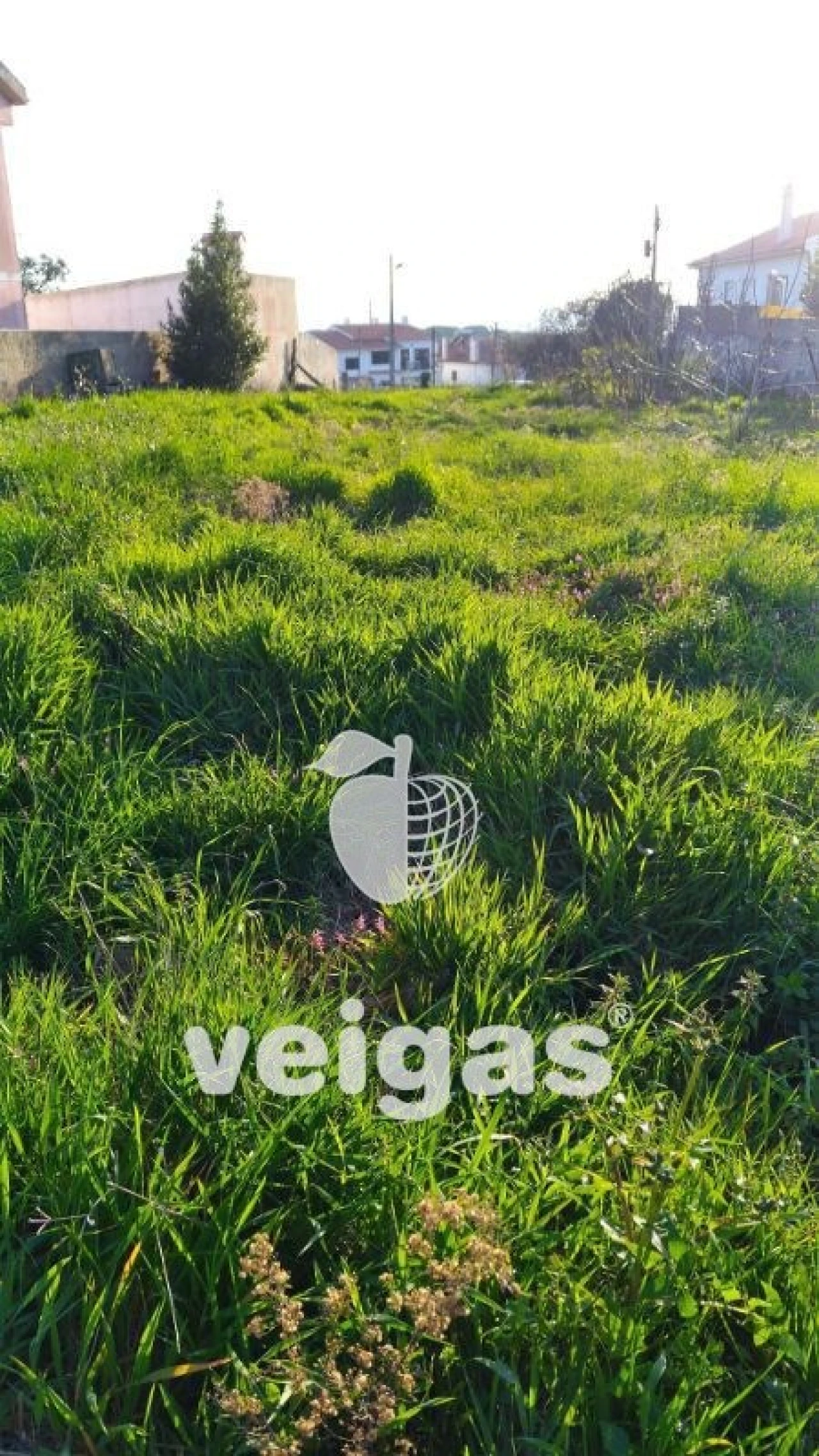 Terreno para Venda em Gaeiras Foto 7