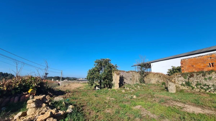 Terreno para Venda em Santa Maria, São Pedro e Sobral da Lagoa Foto 14