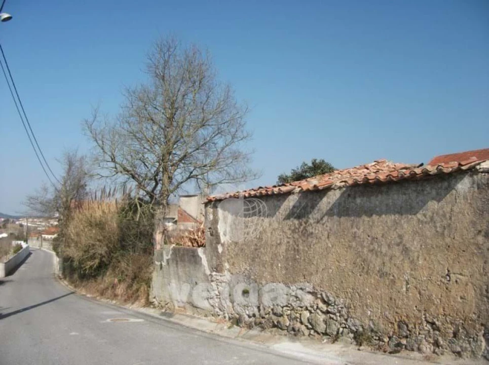 Terreno para Venda em Santa Maria, São Pedro e Sobral da Lagoa Foto 3