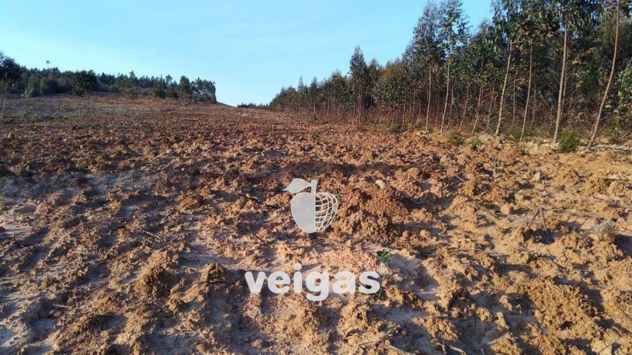 Terreno para Venda em Gaeiras Foto 3