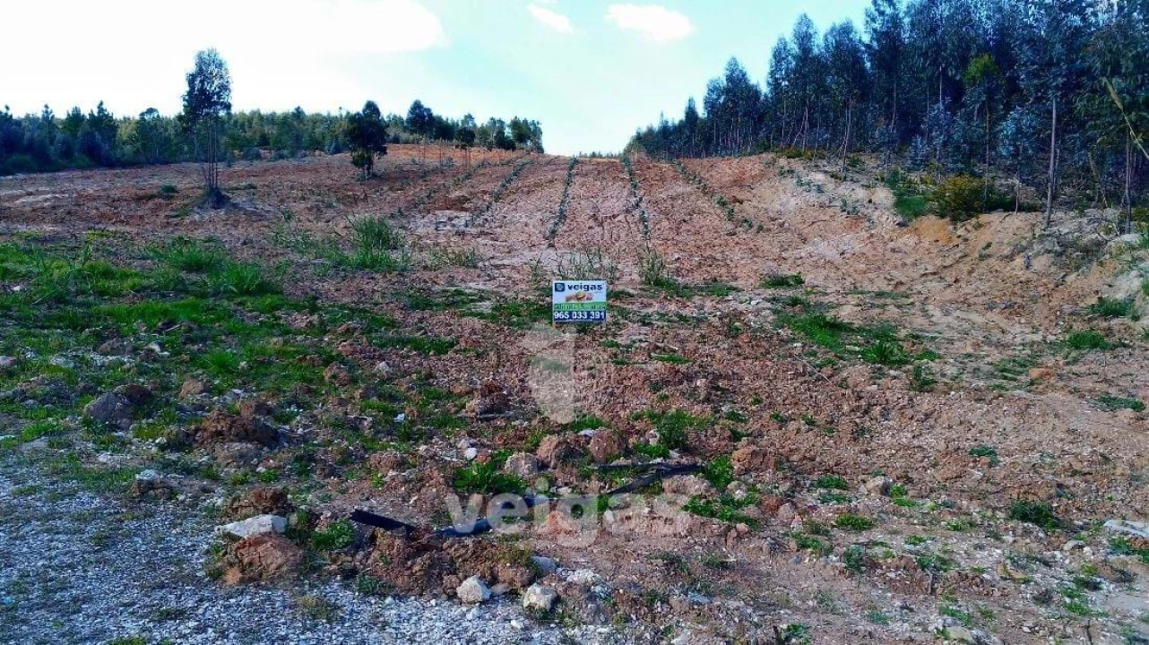 Terreno para Venda em Gaeiras Foto 4