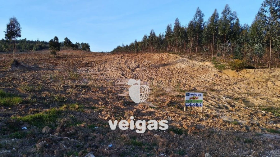 Terreno para Venda em Gaeiras Foto 5