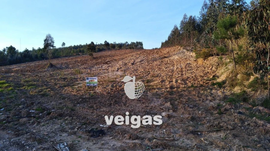 Terreno para Venda em Gaeiras Foto 6