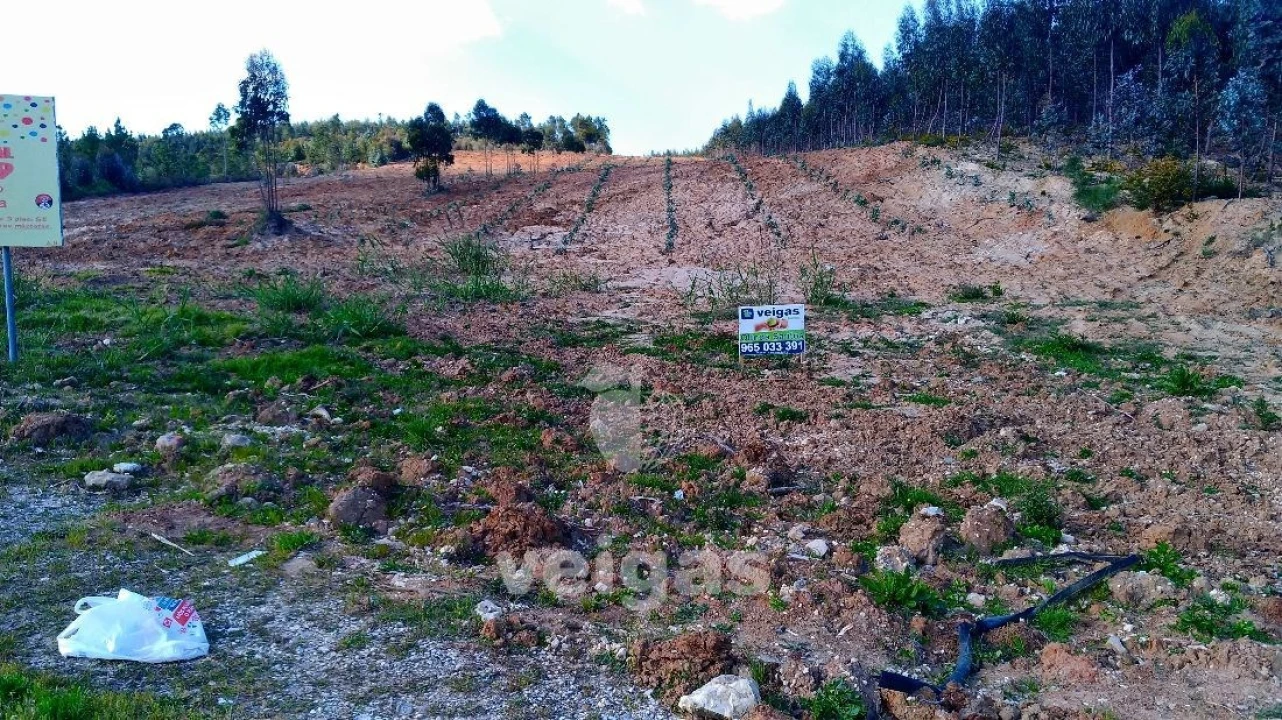 Terreno para Venda em Gaeiras Foto 7