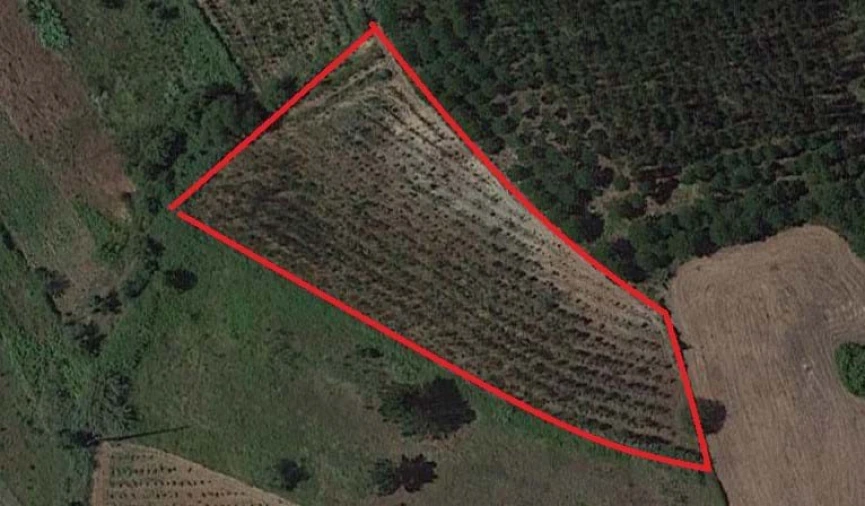 Terreno para Venda em Alvorninha Foto 3