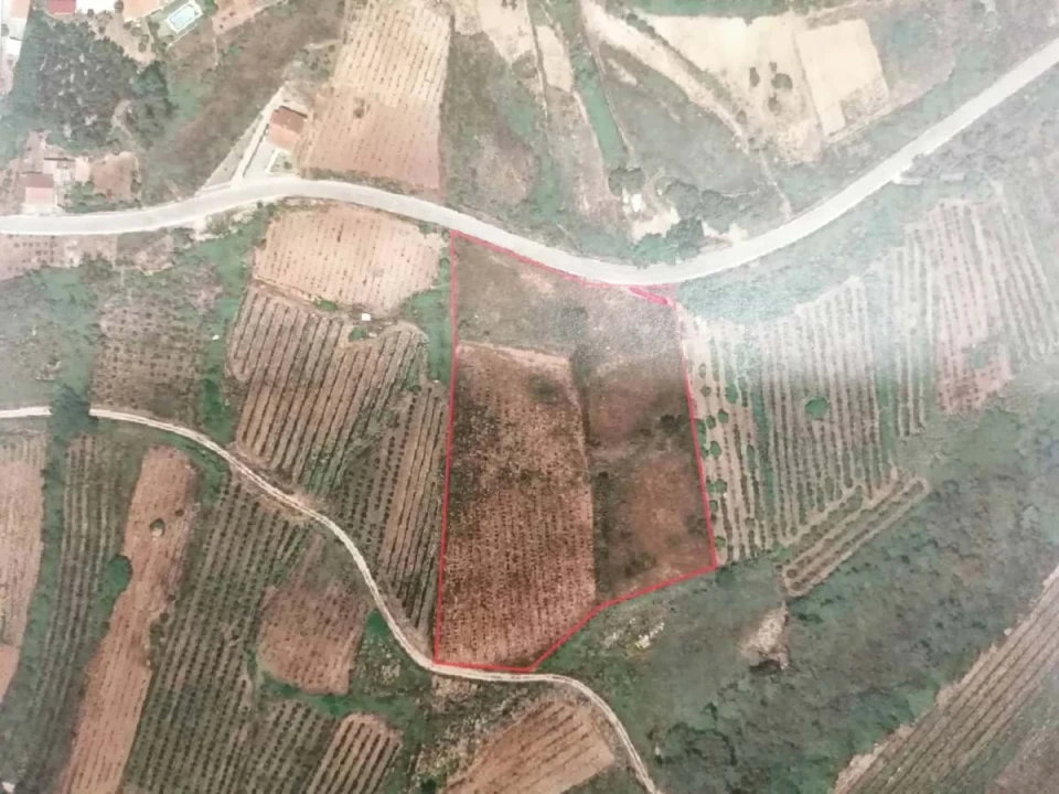 Terreno para Venda em Alvorninha Foto 6