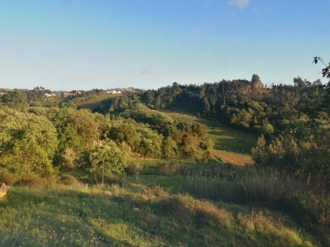 Terreno para Venda em Alvorninha Foto 2