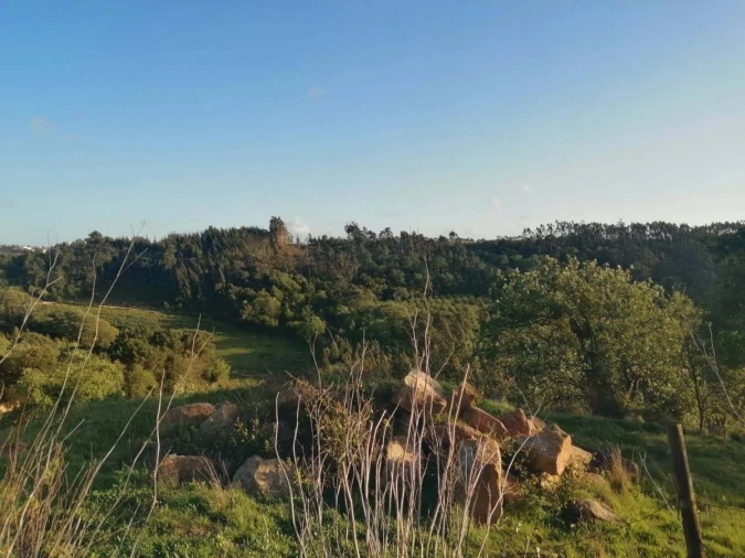 Terreno para Venda em Alvorninha Foto 3