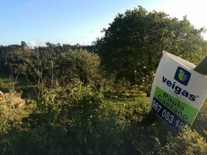 Terreno para Venda em Alvorninha