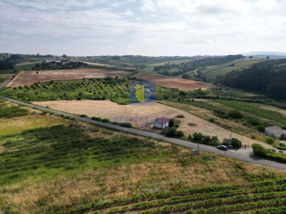 Terreno para Venda em Carvalhal Foto 5