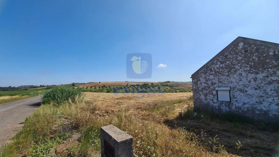 Terreno para Venda em Carvalhal Foto 3