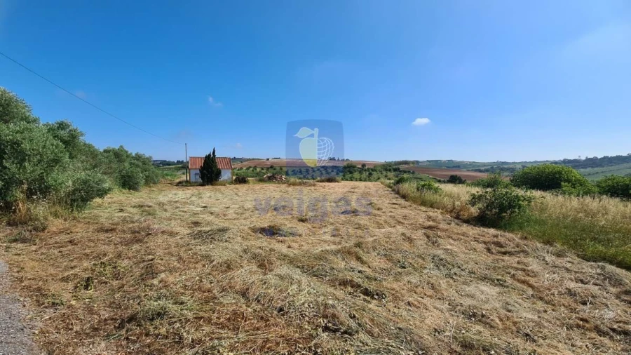 Terreno para Venda em Carvalhal Foto 2