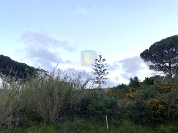 Moradia T3 para Venda em Nadadouro