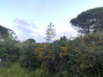 Moradia T3 para Venda em Nadadouro