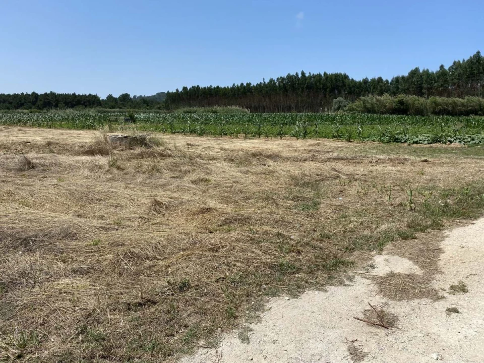 Terreno para Venda em Caldas da Rainha - Santo Onofre e Serra do Bouro Foto 2