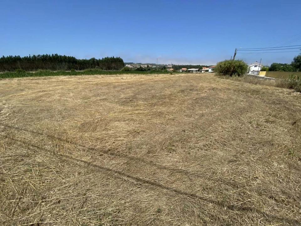 Terreno para Venda em Caldas da Rainha - Santo Onofre e Serra do Bouro Foto 17