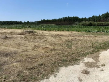 Terreno para Venda em Caldas da Rainha - Santo Onofre e Serra do Bouro