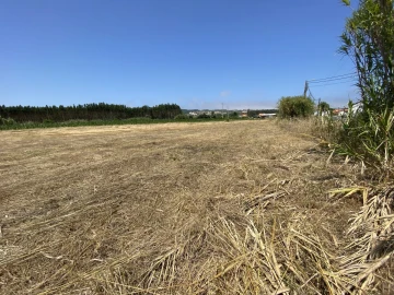 Terreno para Venda em Caldas da Rainha - Santo Onofre e Serra do Bouro