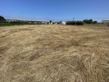 Terreno para Venda em Caldas da Rainha - Santo Onofre e Serra do Bouro