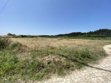 Terreno para Venda em Caldas da Rainha - Santo Onofre e Serra do Bouro