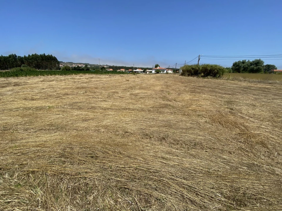 Terreno para Venda em Caldas da Rainha - Santo Onofre e Serra do Bouro Foto 16