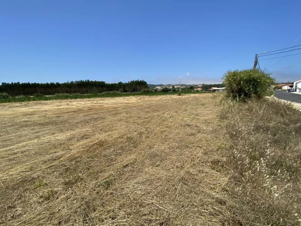 Terreno para Venda em Caldas da Rainha - Santo Onofre e Serra do Bouro Foto 18