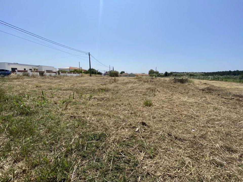 Terreno para Venda em Caldas da Rainha - Santo Onofre e Serra do Bouro Foto 9
