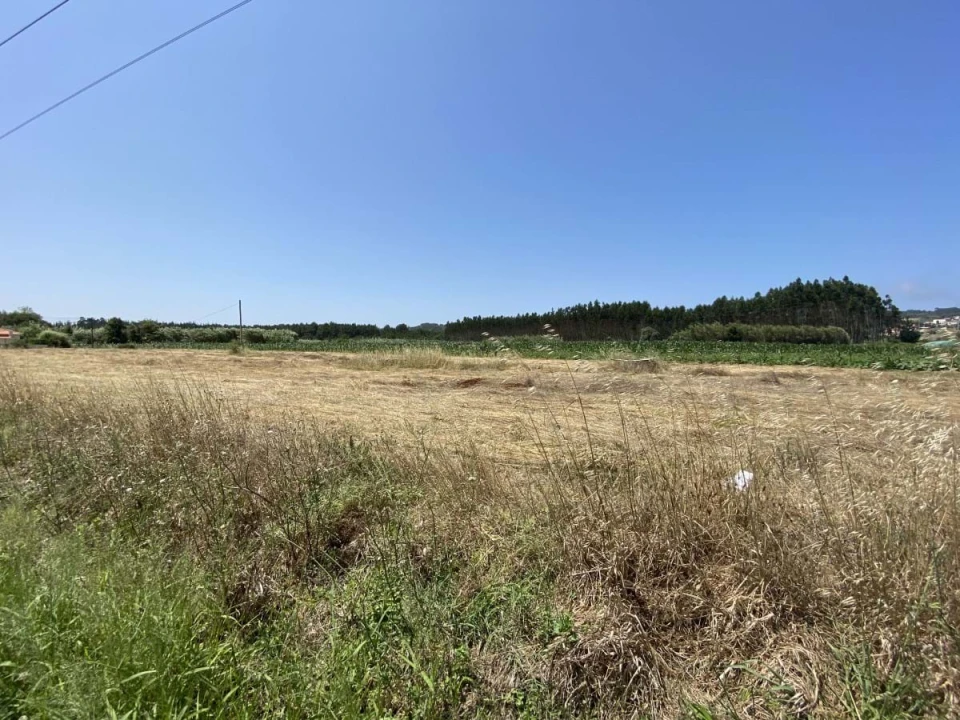 Terreno para Venda em Caldas da Rainha - Santo Onofre e Serra do Bouro Foto 6