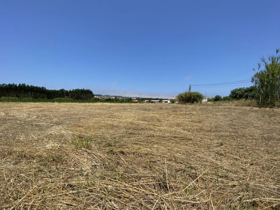 Terreno para Venda em Caldas da Rainha - Santo Onofre e Serra do Bouro Foto 14