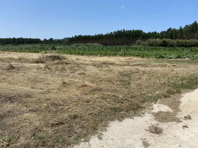 Terreno para Venda em Caldas da Rainha - Santo Onofre e Serra do Bouro Foto 2